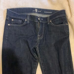 7 for all mankind skinny Jean